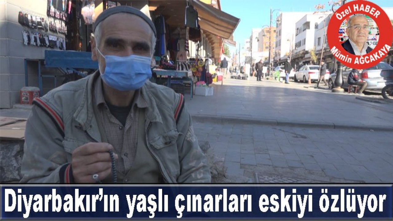 Diyarbakır’ın yaşlı çınarları eskiyi özlüyor