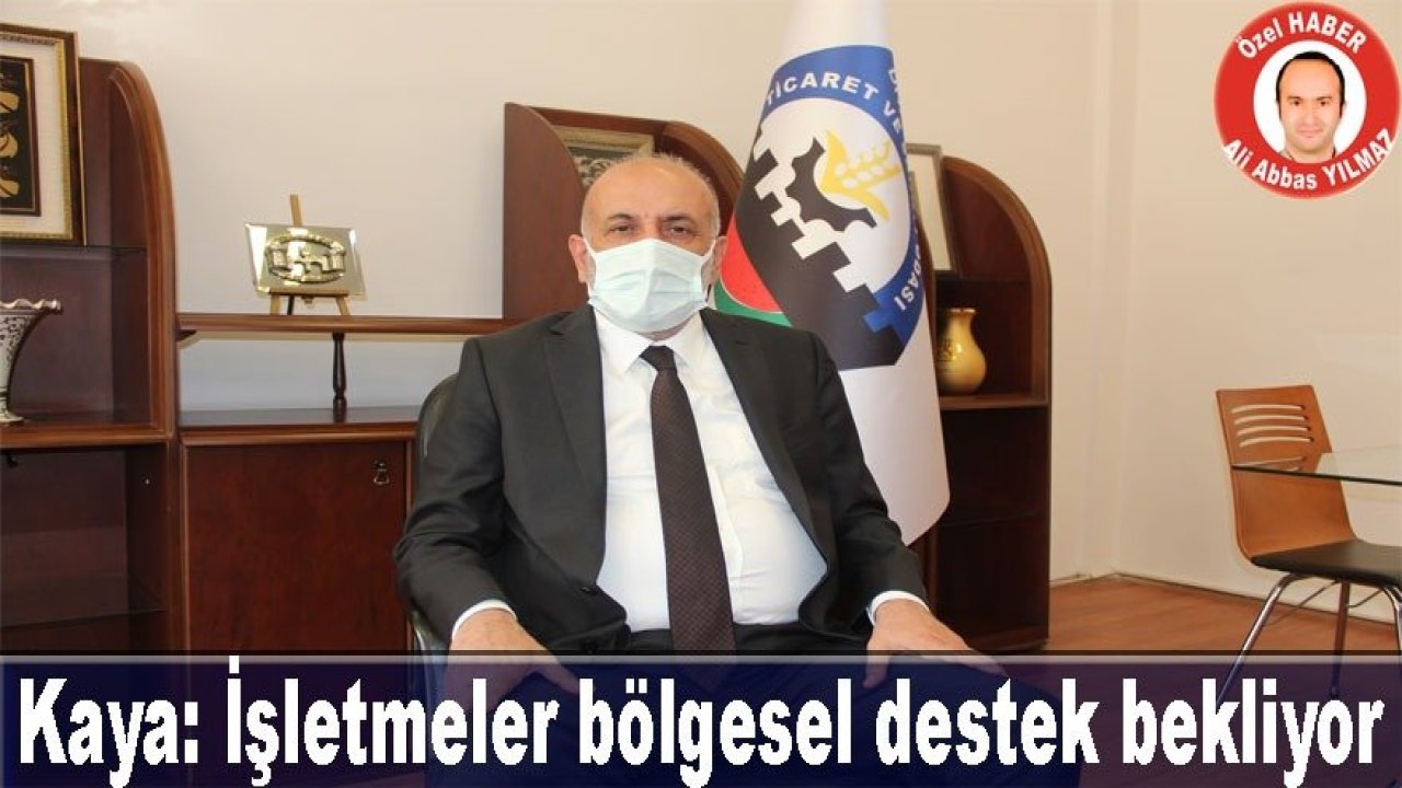 Kaya: İşletmeler bölgesel destek bekliyor