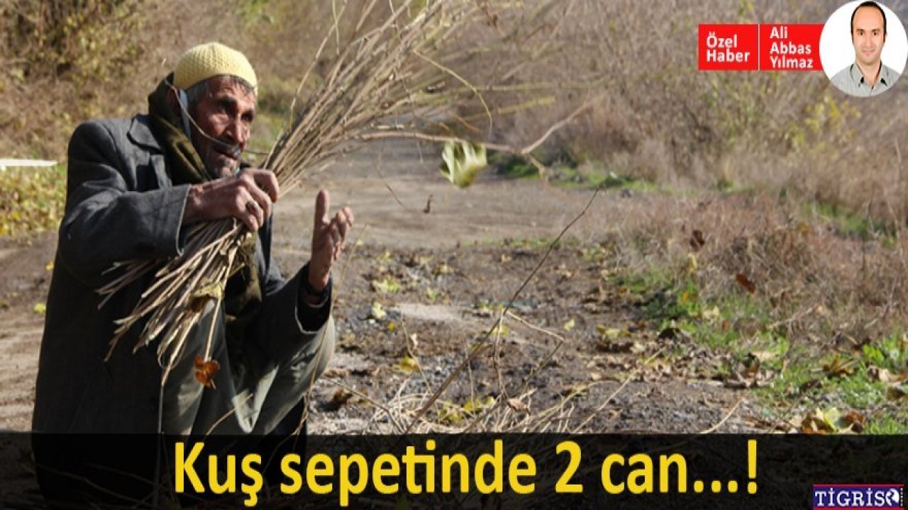 Diyarbakırlı Kaya yaptığı kuş sepetleriyle yaşama tutunuyor