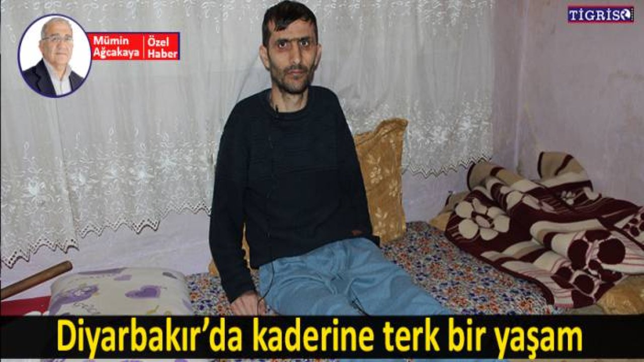 Diyarbakır’da kaderine terk bir yaşam