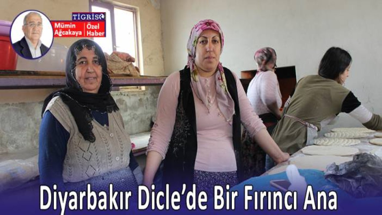 Diyarbakır Dicle’de bir fırıncı ana