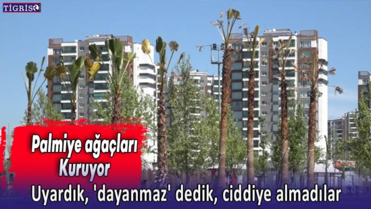Uyardık, 'dayanmaz' dedik, ciddiye almadılar