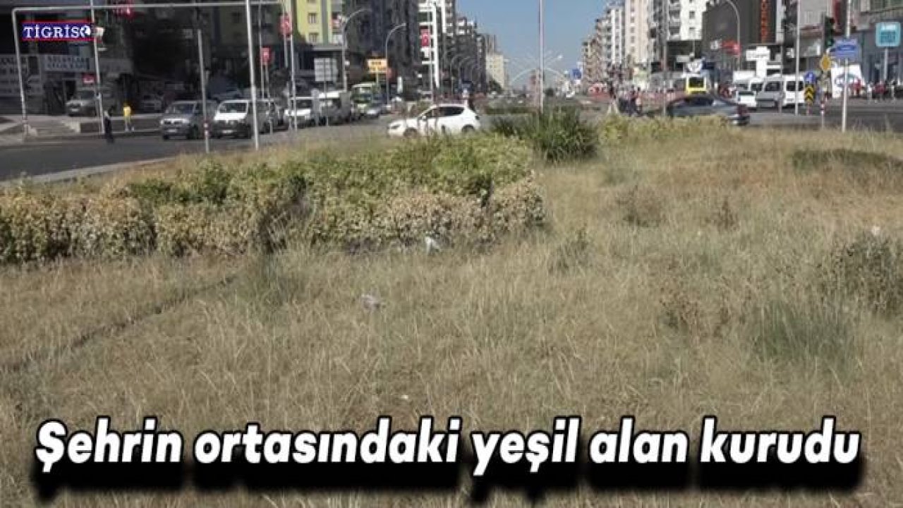 Şehrin ortasındaki yeşil alan kurudu