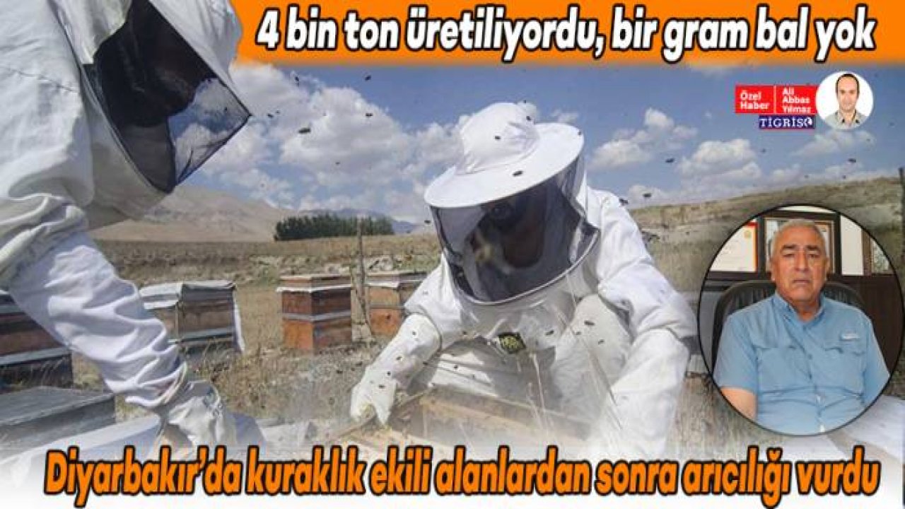 Diyarbakır’da kuraklık ekili alanlardan sonra arıcılığı vurdu