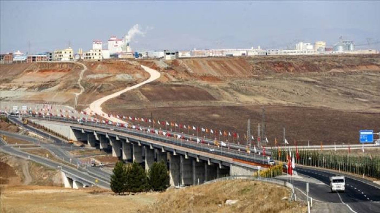 Karayolları ağaçlara sahip çıkamadı!