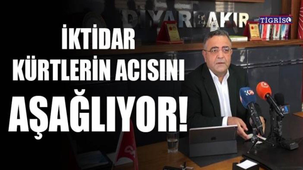 Tanrıkulu: İktidar Kürtlerin acısını aşağılıyor