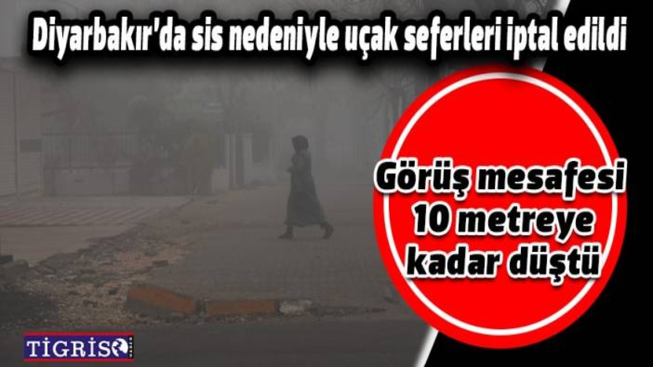 Diyarbakır’da sis nedeniyle uçak seferleri iptal edildi