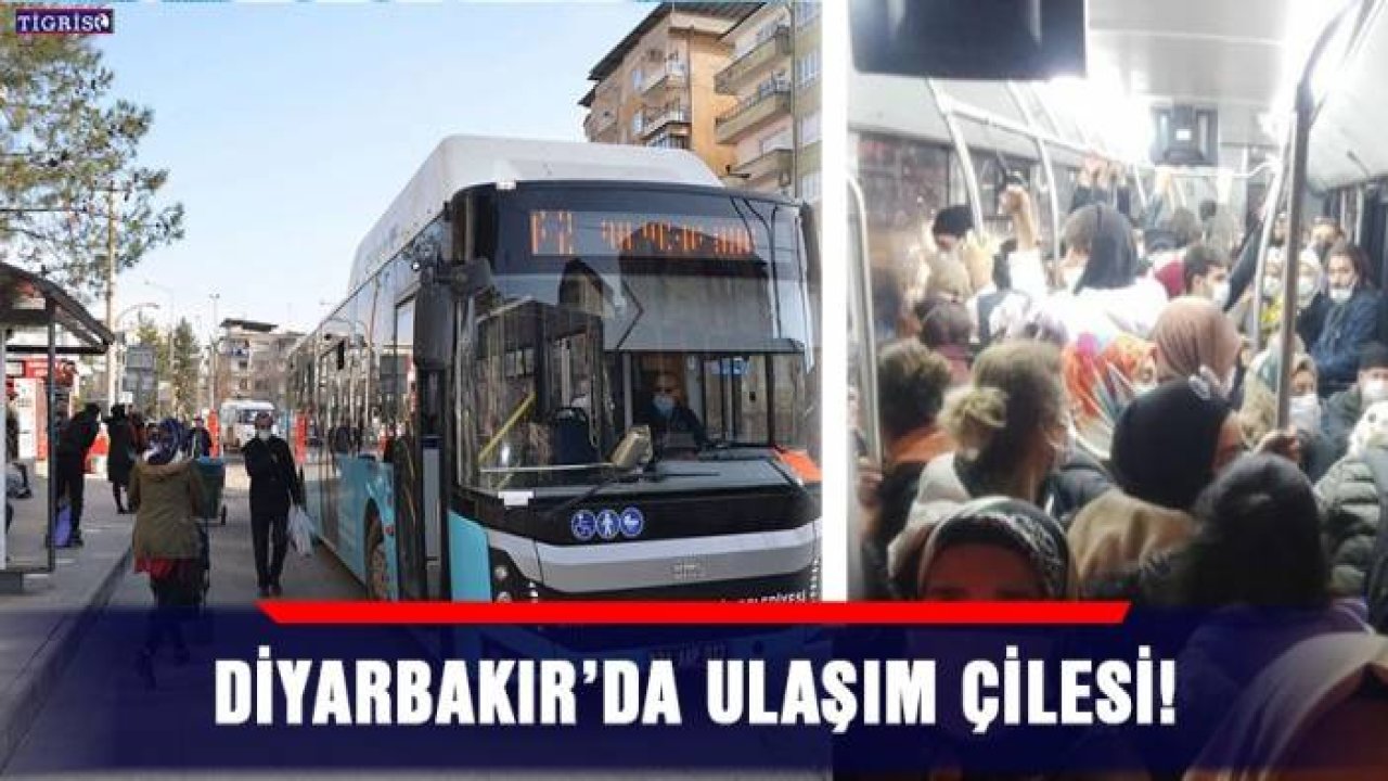 Diyarbakır’da ulaşım çilesi!