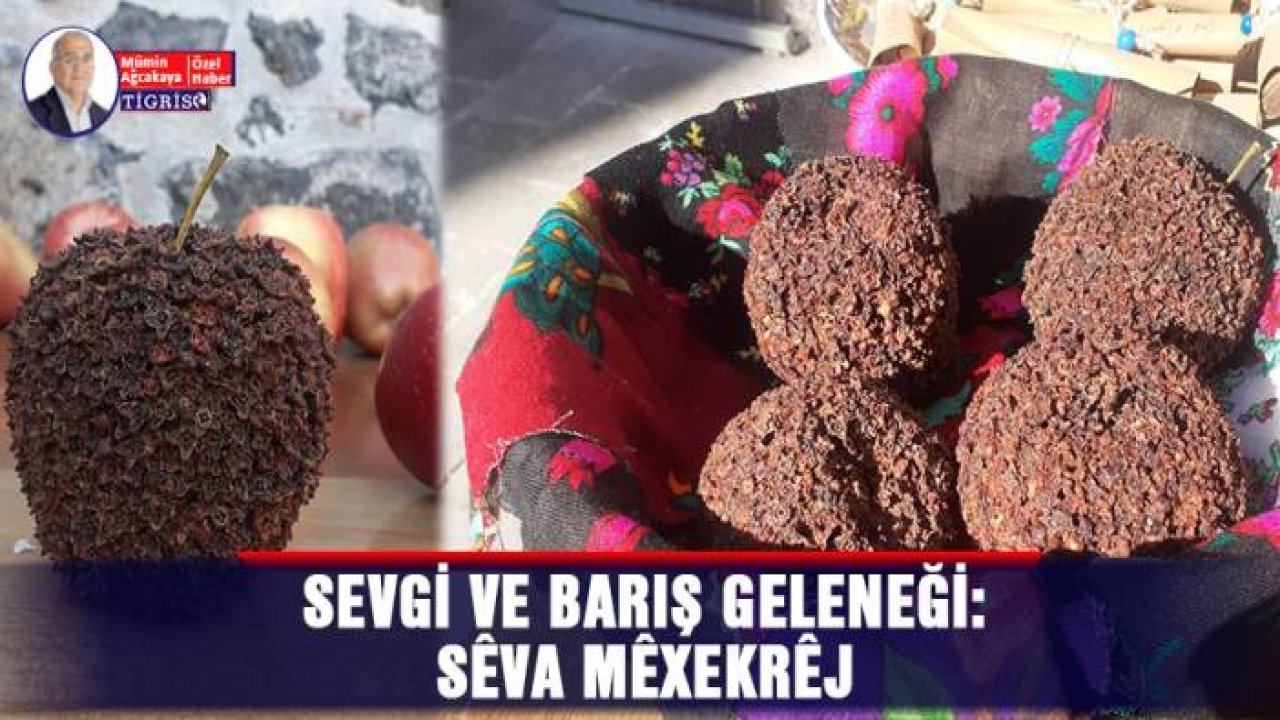 Sevgi ve Barış Geleneği: Sêva Mêxekrêj