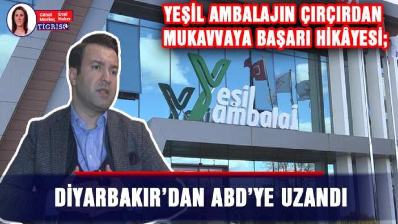 Yeşil ambalajın çırçırdan mukavvaya başarı hikâyesi