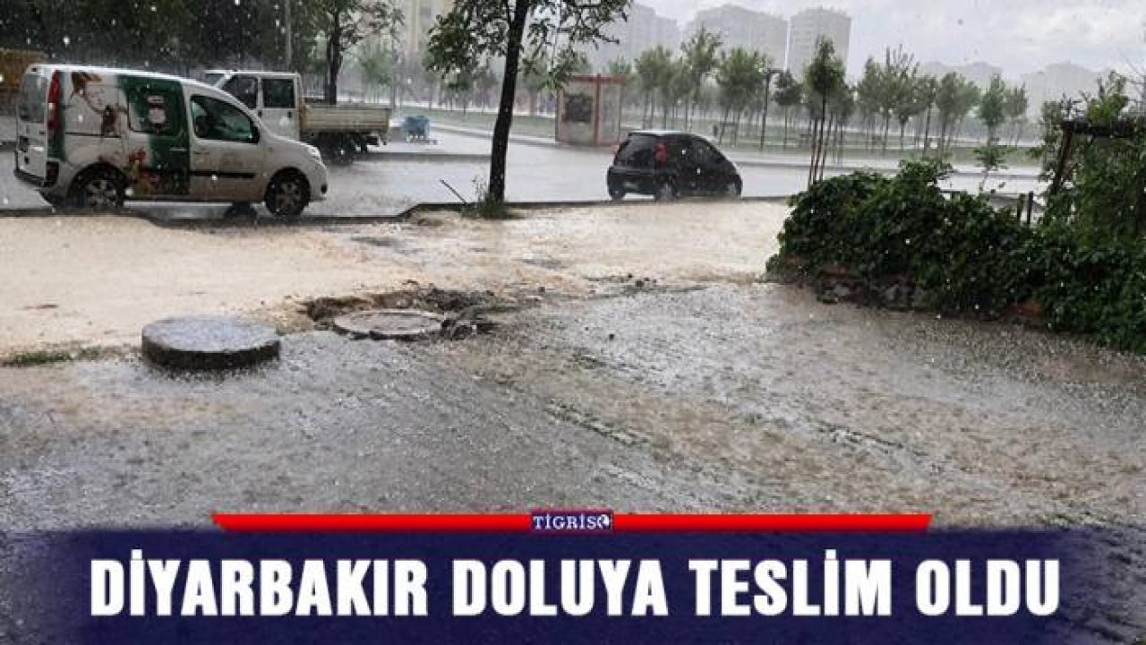 Diyarbakır doluya teslim oldu