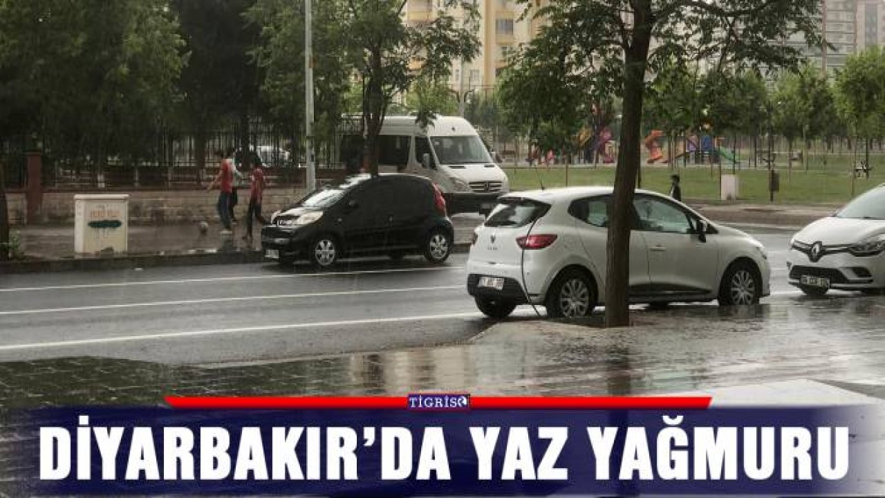 Diyarbakır’da yaz yağmuru
