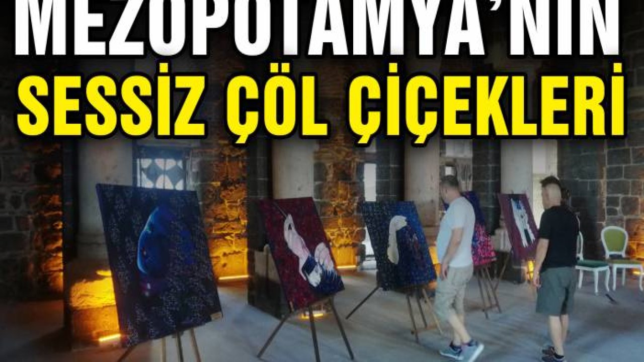 Mezopotamya’nın Sessiz Çöl Çiçekleri