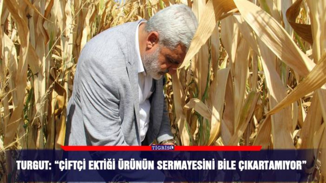 Turgut: “Çiftçi ektiği ürünün sermayesini bile çıkartamıyor”