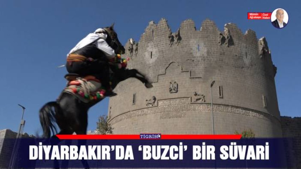 Diyarbakır’da ‘Buzci’ bir süvari