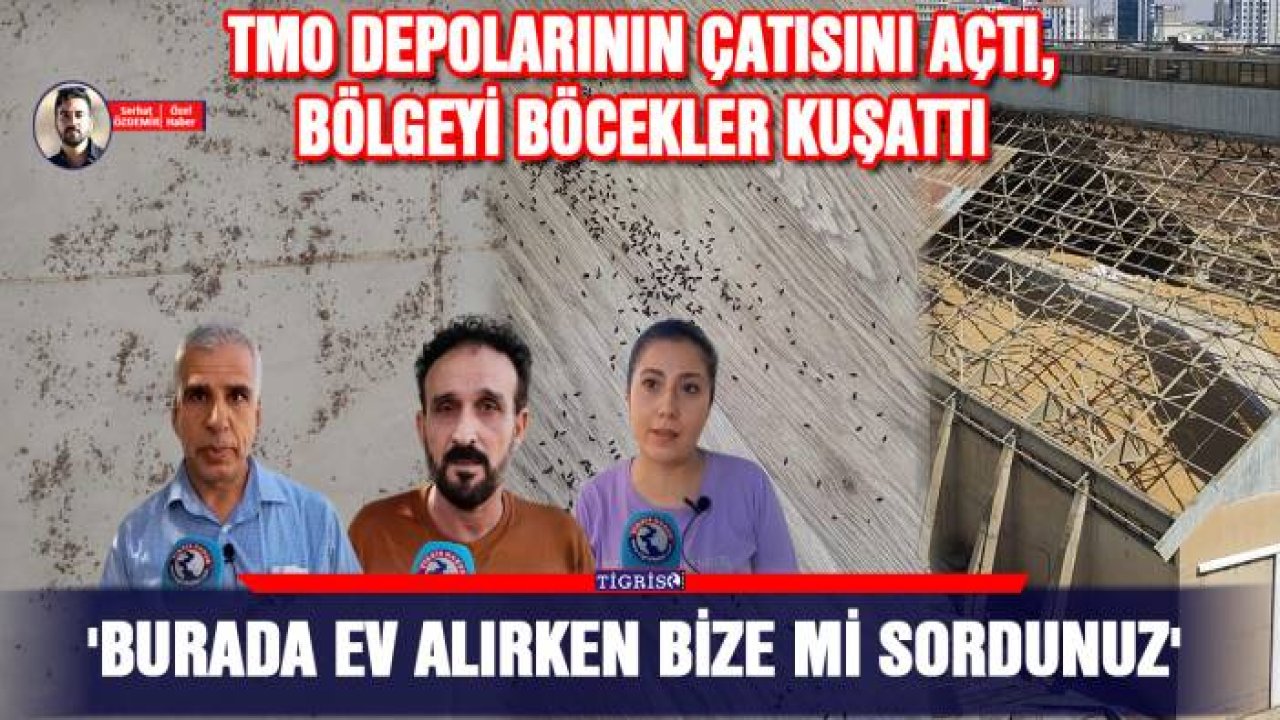TMO depolarının çatısını açtı, bölgeyi böcekler kuşattı