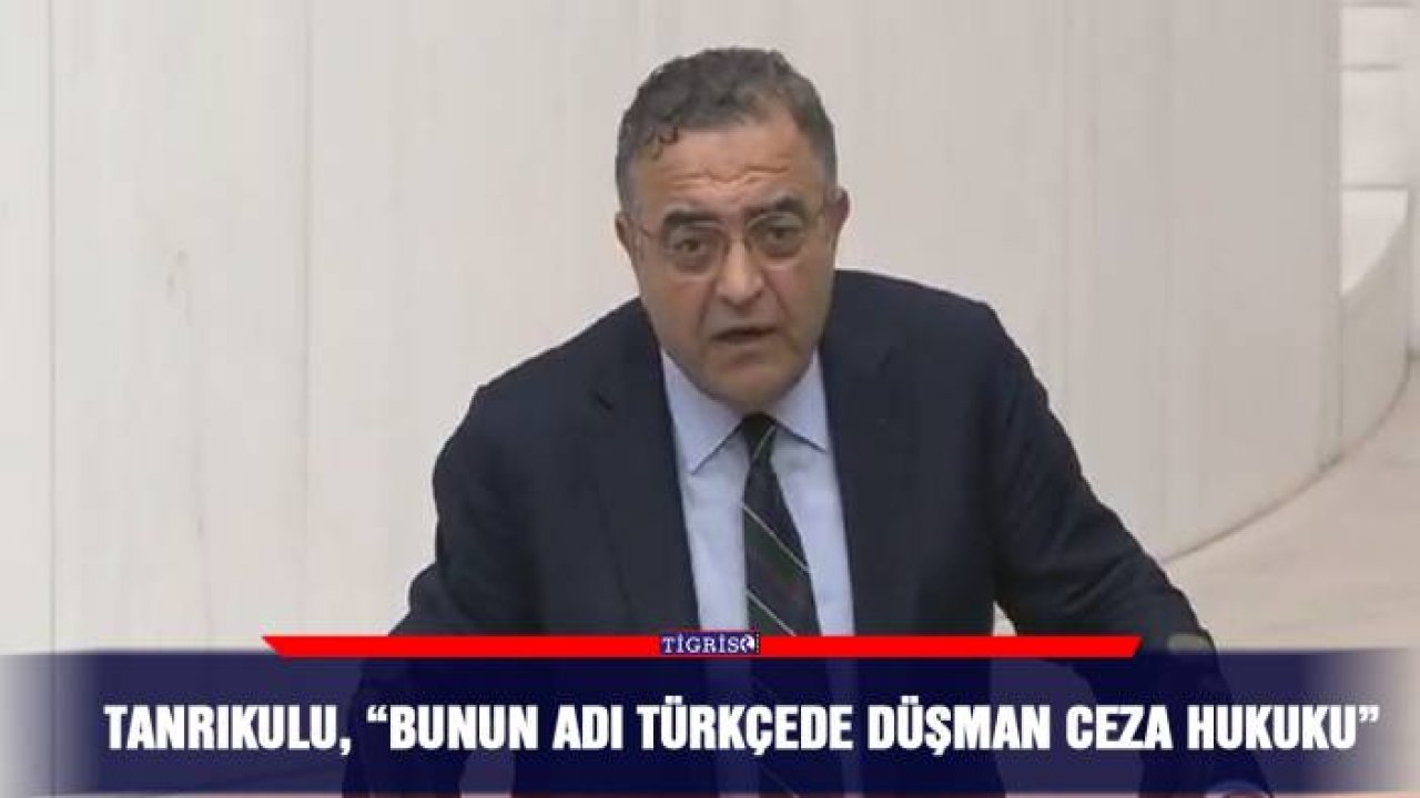 Tanrıkulu, “Bunun adı Türkçede Düşman ceza hukuku”