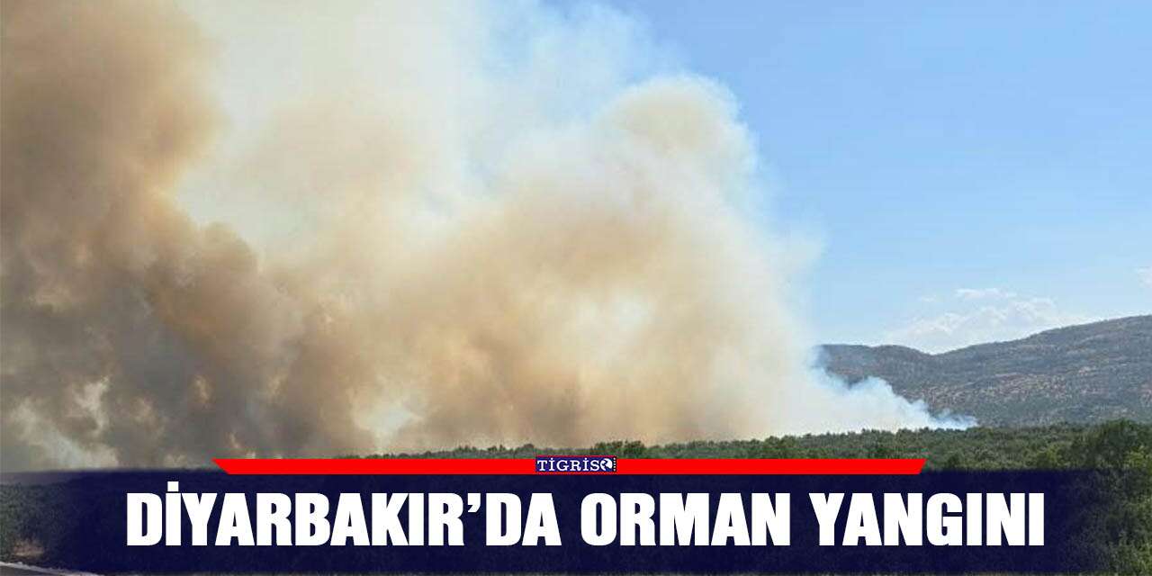 Diyarbakır’da orman yangını