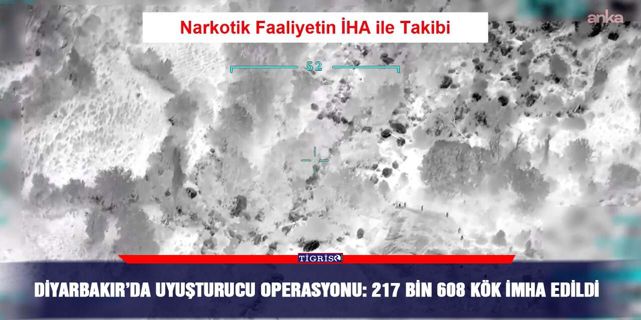 Diyarbakır’da uyuşturucu operasyonu: 217 bin 608 kök imha edildi