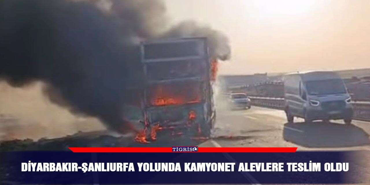 Diyarbakır-Şanlıurfa yolunda kamyonet alevlere teslim oldu