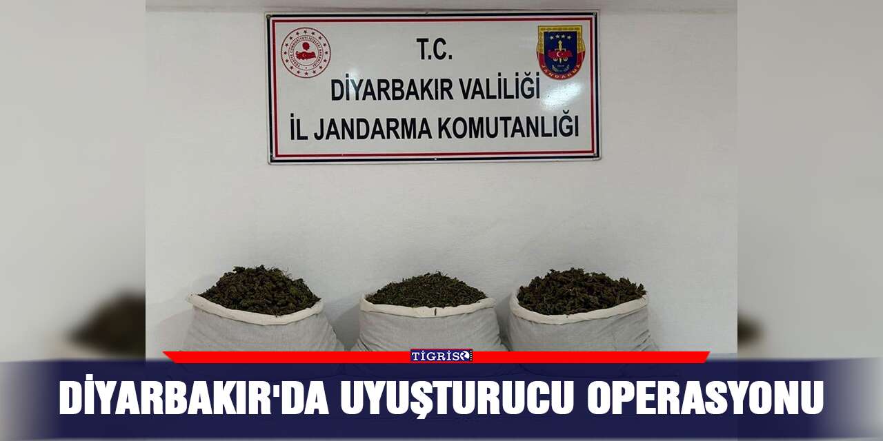Diyarbakır'da uyuşturucu operasyonu