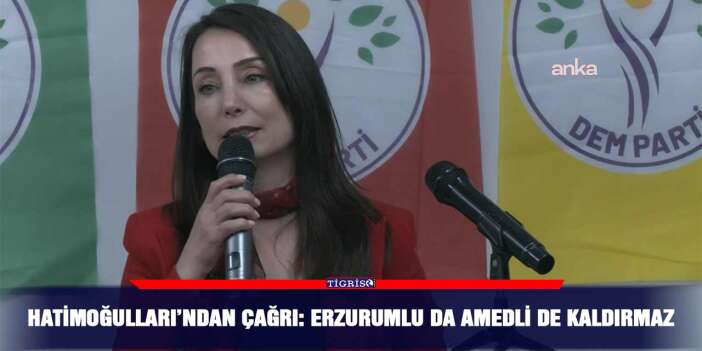 Hatimoğulları’ndan çağrı: Erzurumlu da Amedli de kaldırmaz