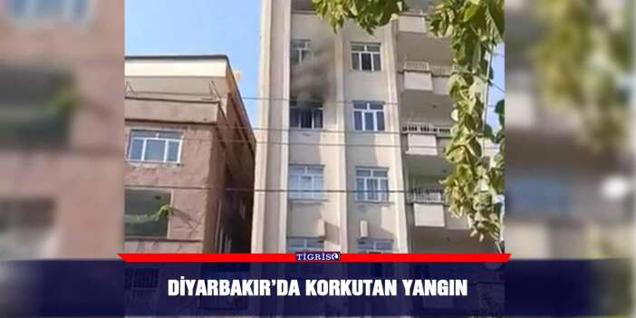 Diyarbakır’da korkutan yangın