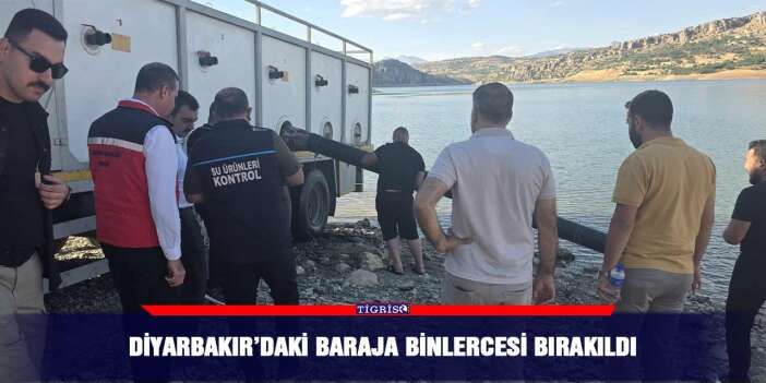 Diyarbakır’daki baraja binlercesi bırakıldı