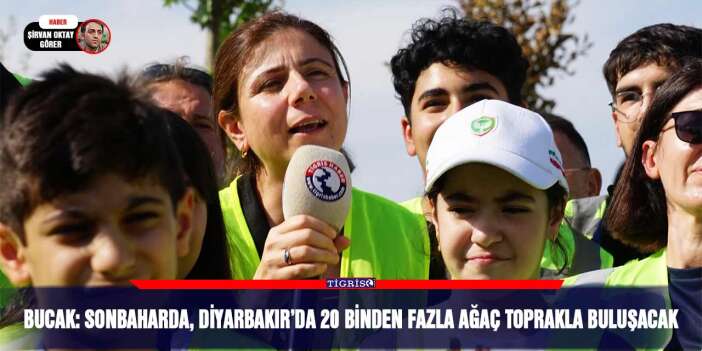 Bucak: Sonbaharda, Diyarbakır’da 20 binden fazla ağaç toprakla buluşacak