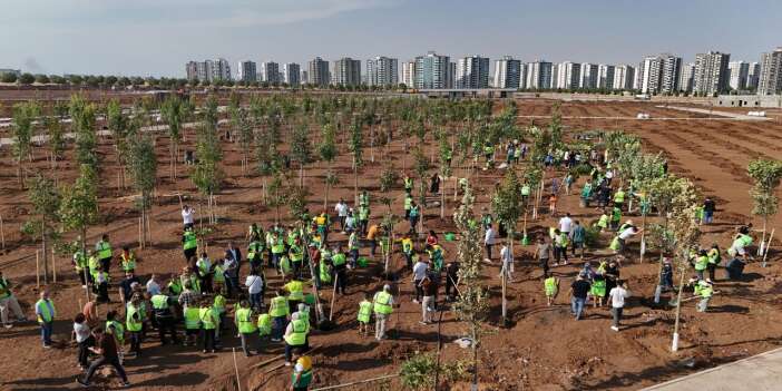 Diyarbakır’da yeşil dönüşüm başlıyor