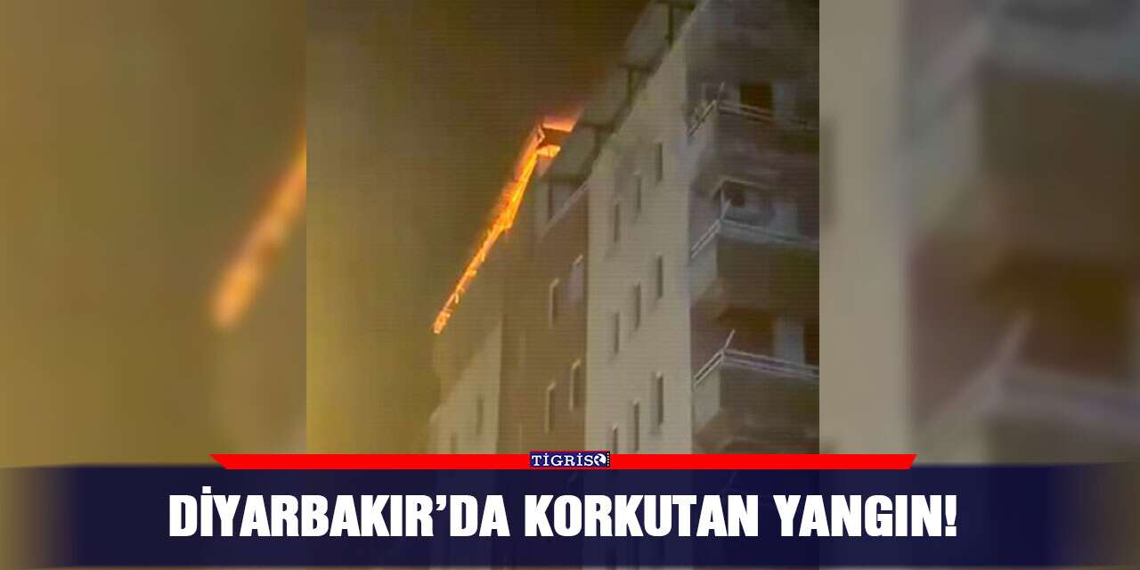 Diyarbakır’da korkutan yangın!