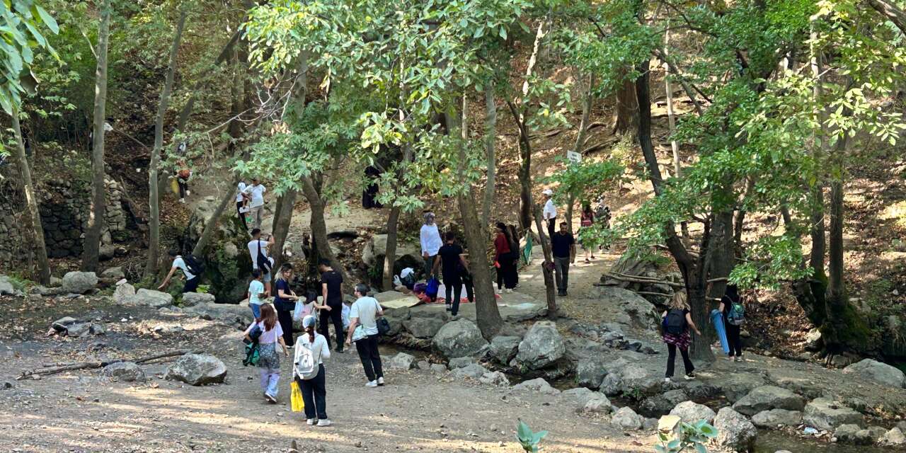 Dicle'de vatandaşlar doğa için bir araya geldi