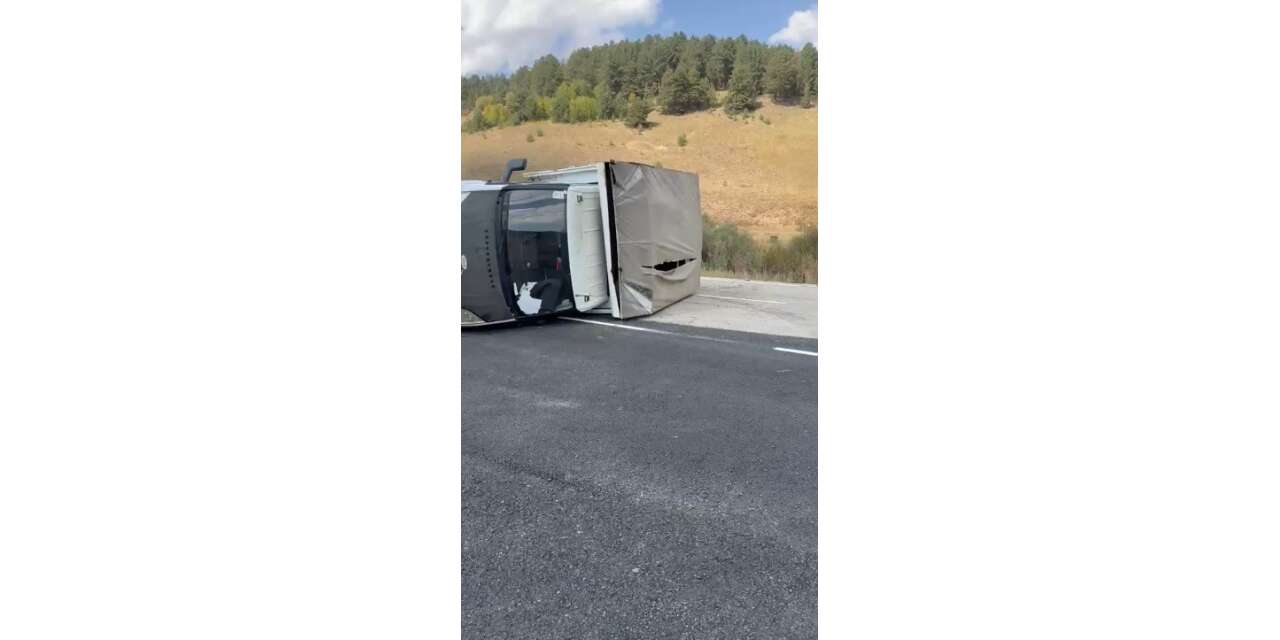 Hayvan yüklü kamyonet devrildi