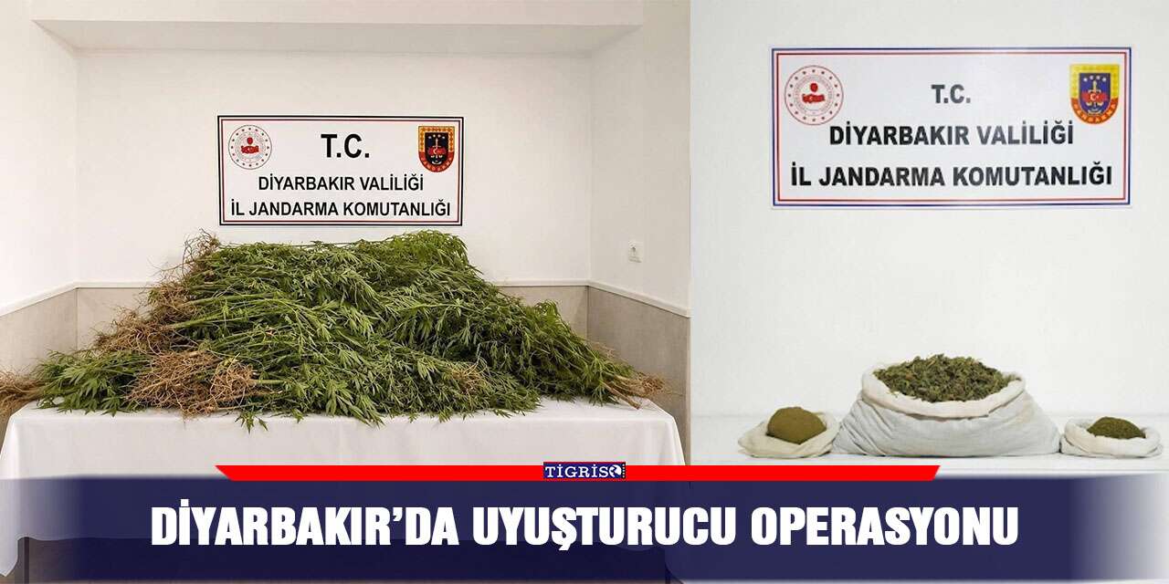 Diyarbakır’da uyuşturucu operasyonu