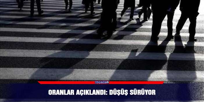 Oranlar açıklandı: Düşüş sürüyor