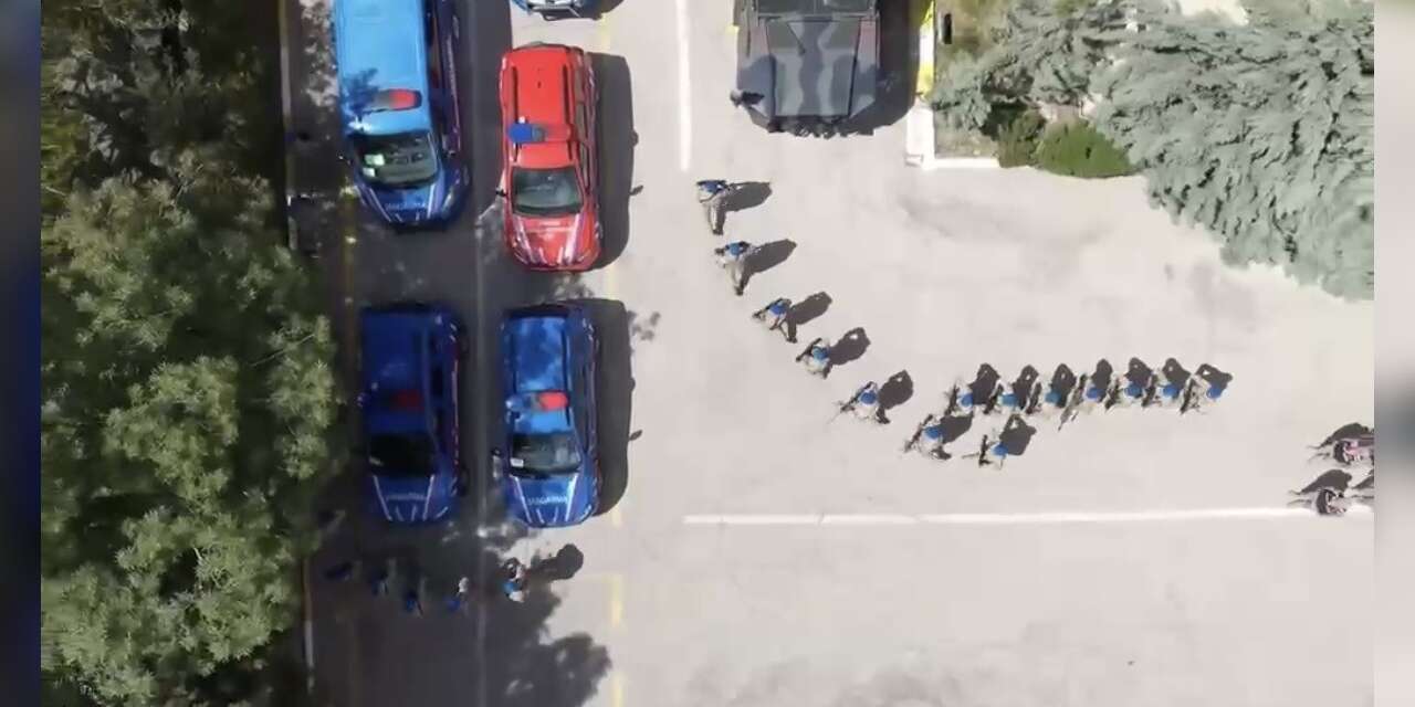 10 ilde büyük dolandırıcılık operasyonu