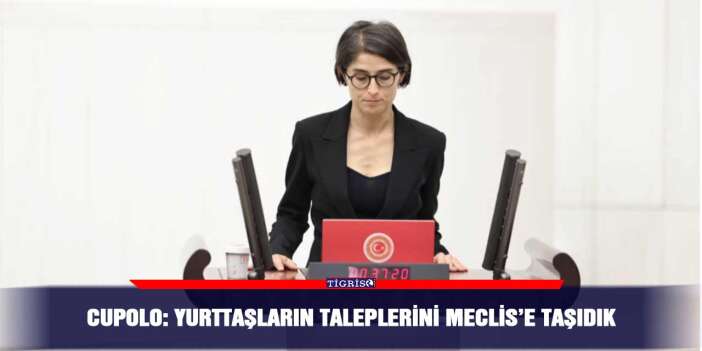 Cupolo: Yurttaşların taleplerini Meclis’e taşıdık