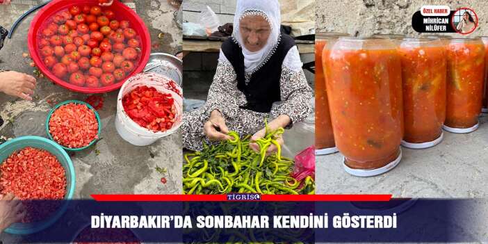 Yazın bereketi kavanozlara doluyor: Diyarbakır’da evlerde konserve telaşı