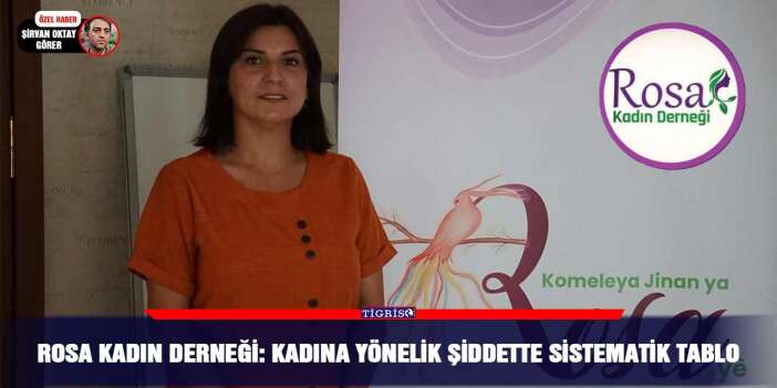 Rosa Kadın Derneği: Kadına yönelik şiddette sistematik tablo