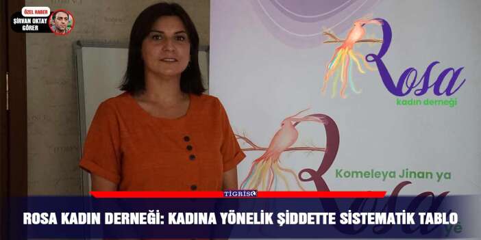 Rosa Kadın Derneği: Kadına yönelik şiddette sistematik tablo