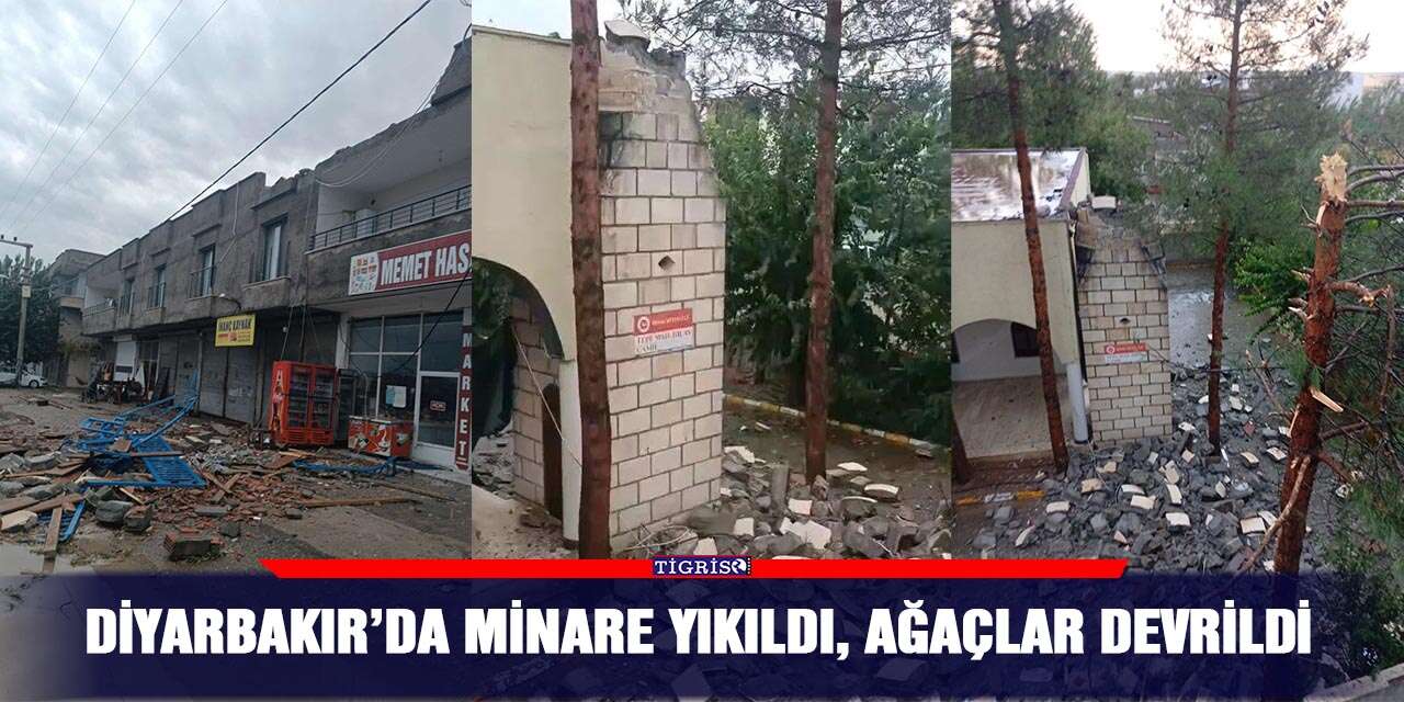 Diyarbakır’da minare yıkıldı, ağaçlar devrildi