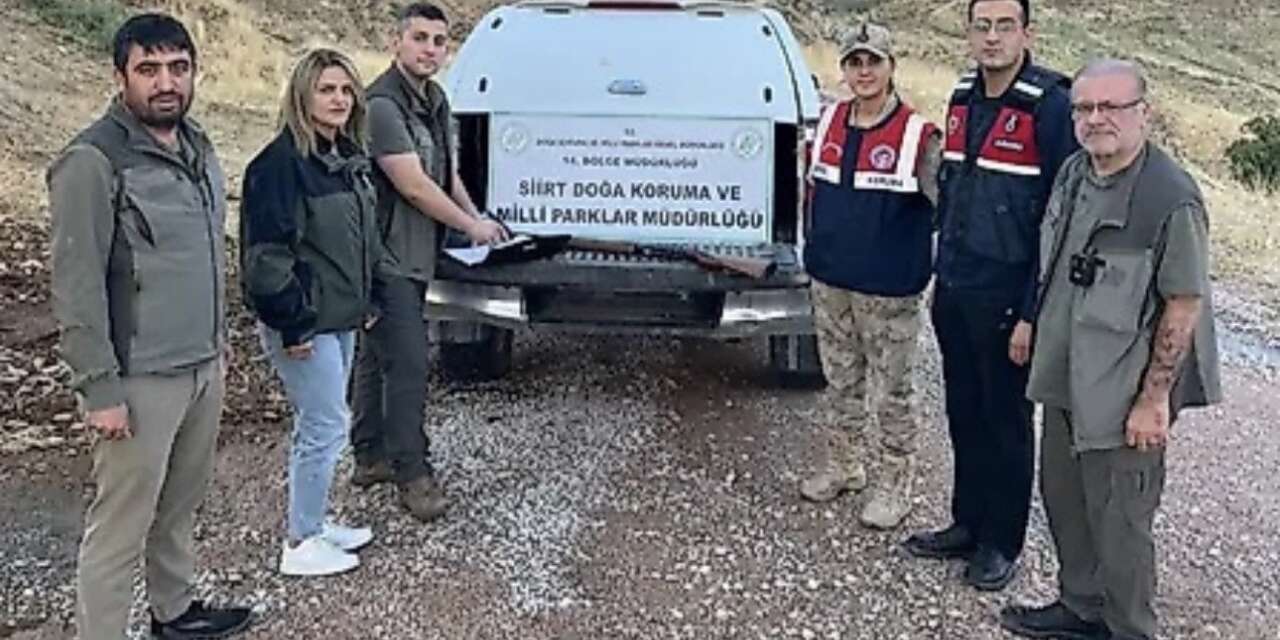 Avcılık belgesi olmadan avlanan kişiye adli ve idari işlem