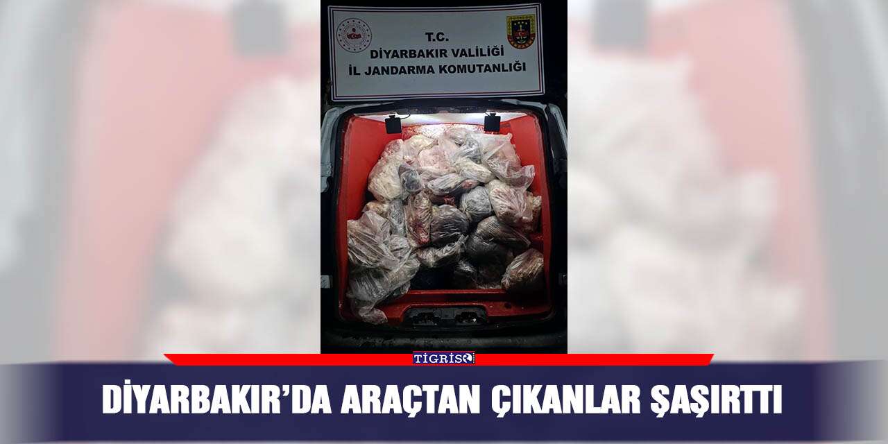 Diyarbakır’da araçtan çıkanlar şaşırttı