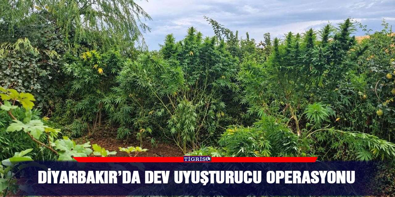 Diyarbakır’da dev uyuşturucu operasyonu