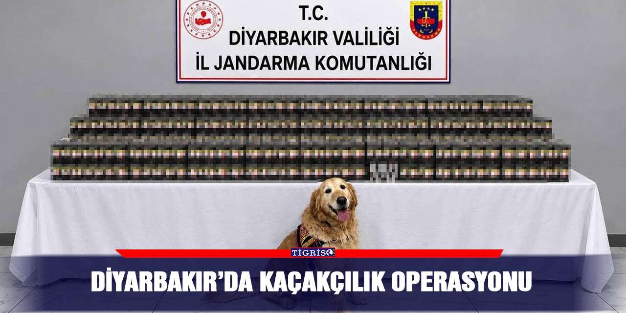 Diyarbakır’da kaçakçılık operasyonu