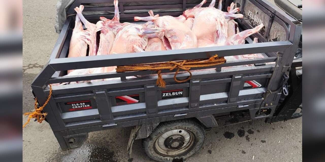 Kaçak kesim yapanlara 52 bin 801 lira ceza