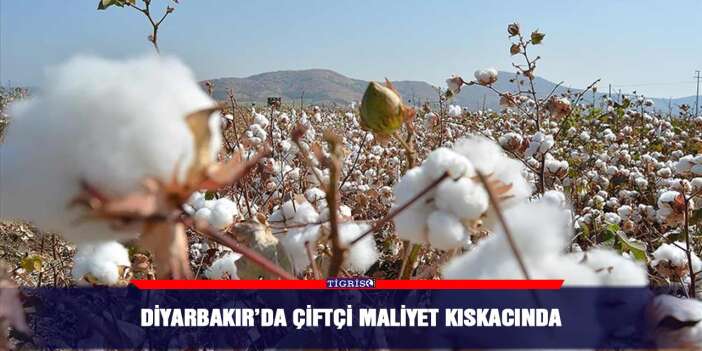 Diyarbakır’da çiftçi maliyet kıskacında