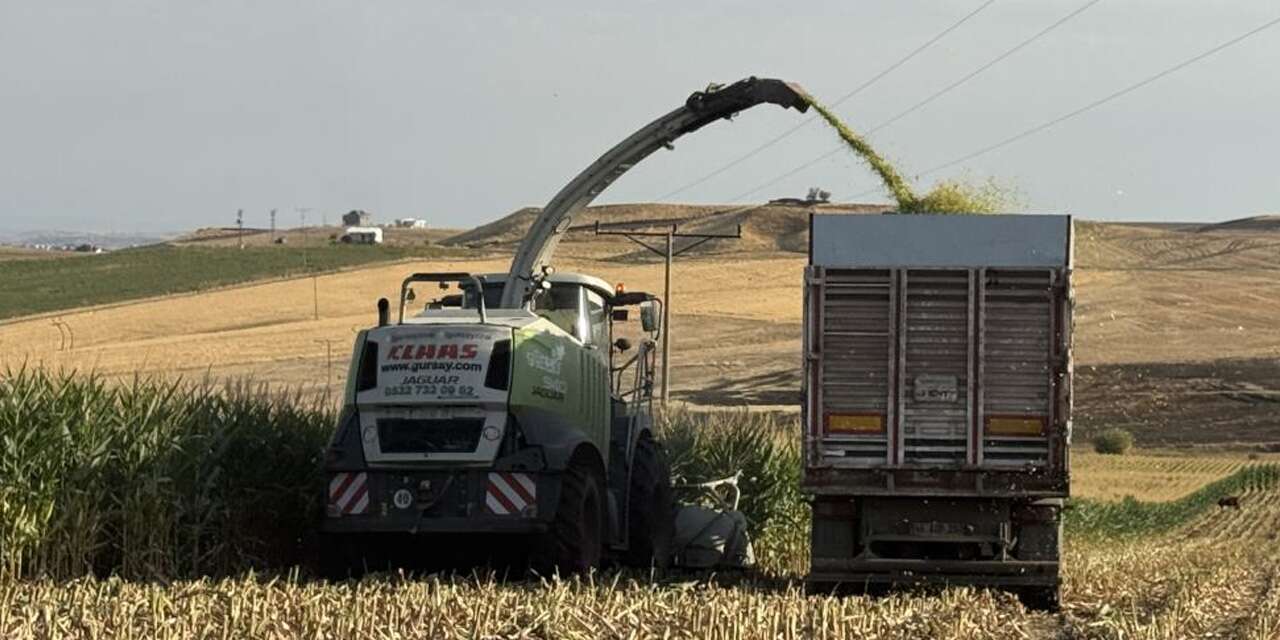 Diyarbakır'da mısır hasadı başladı