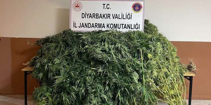 Diyarbakır'da jandarmadan zehir tacirlerine darbe: Ele geçirilenler şaşırttı
