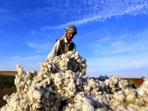 "Bereket çok, para yok"
